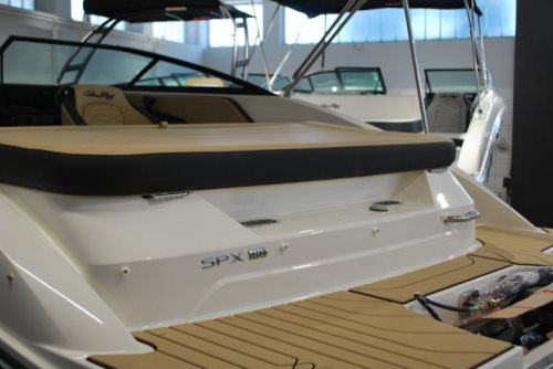 Sea Ray 190 SPX Outboard 2024