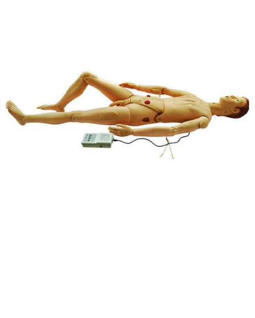 БМ027 - Модел на човек кукла за демонстрација и вежби