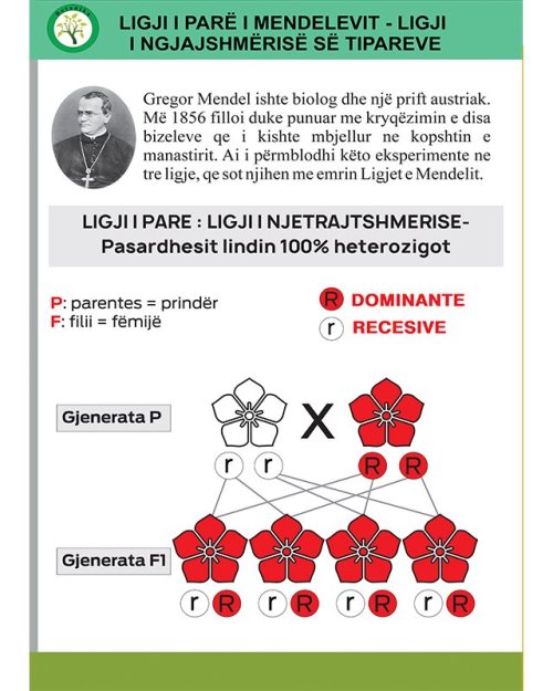 Ligji i pare i Mendeleevit - Ligji i ngjashmerise se tipareve