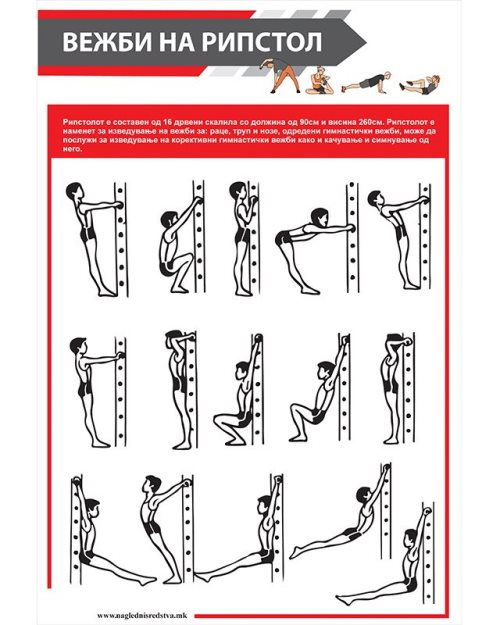 СП075 - Постер вежби на рипстол