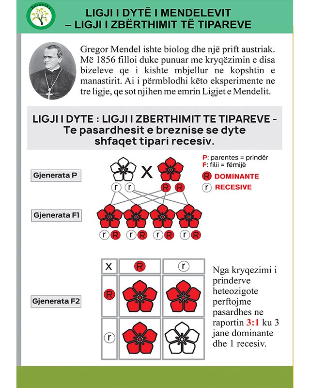 Ligji i dyte i Mendeleevit - Ligji i zberthimit te tipareve