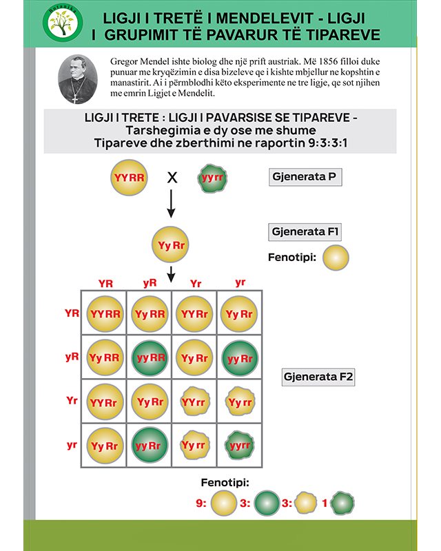 Ligji i trete i Mendeleevit - Ligji i grupimit te pavarur te tipareve