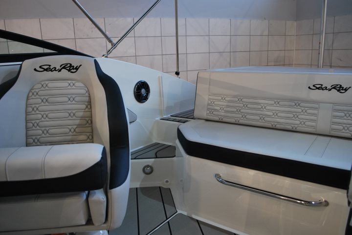 Sea Ray 190 SPX Outboard