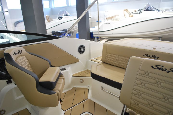 Sea Ray 190 SPX Outboard 2024