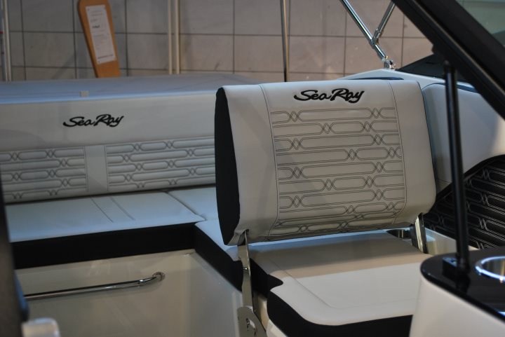 Sea Ray 190 SPX Outboard