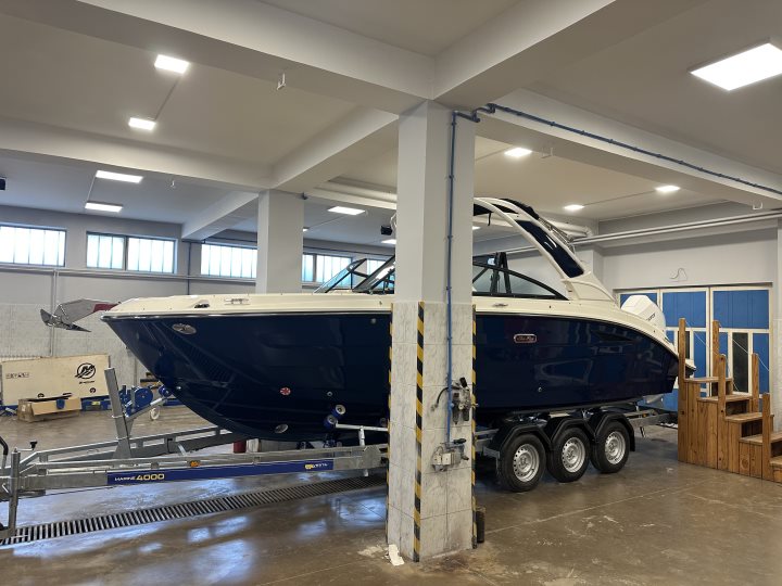 Sea Ray SDX 250 Outboard