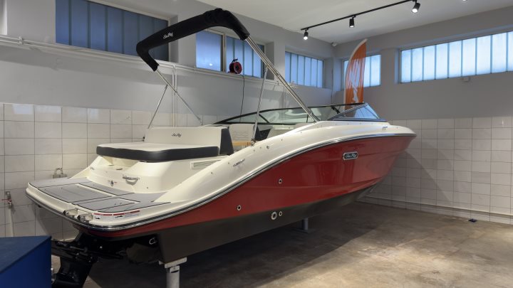 Sea Ray SPX 210 - половен