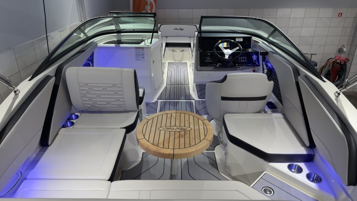 Sea Ray SPX 210 - половен