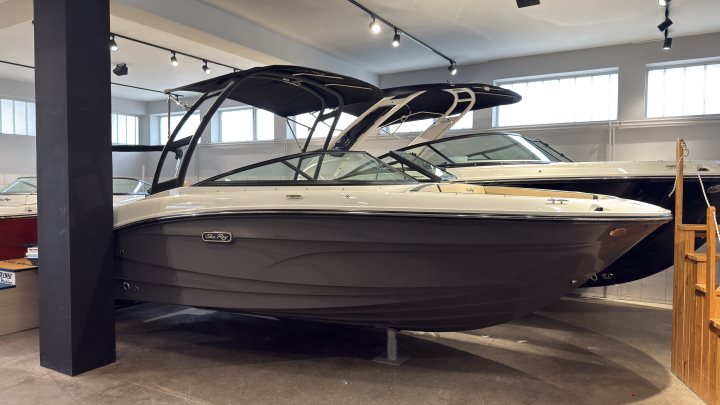 Sea Ray SPX 210 Outboard