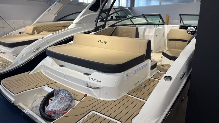 Sea Ray SPX 210 Outboard
