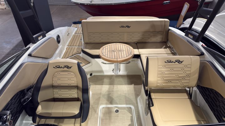 Sea Ray SPX 210 Outboard