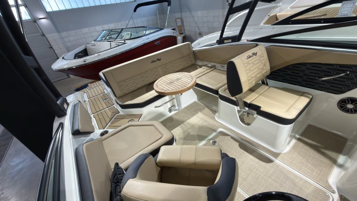 Sea Ray SPX 210 Outboard