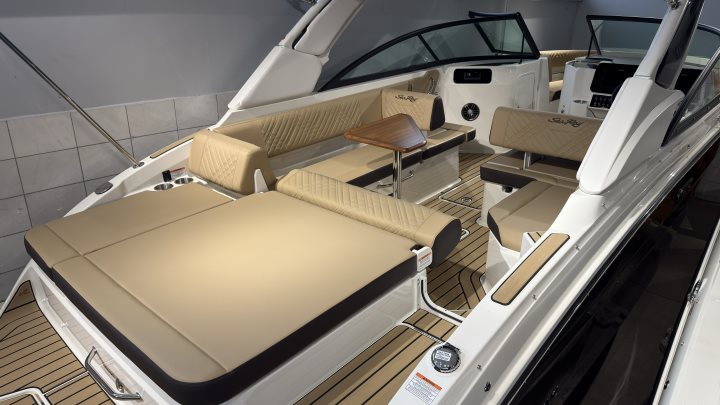 Sea Ray SDX 250