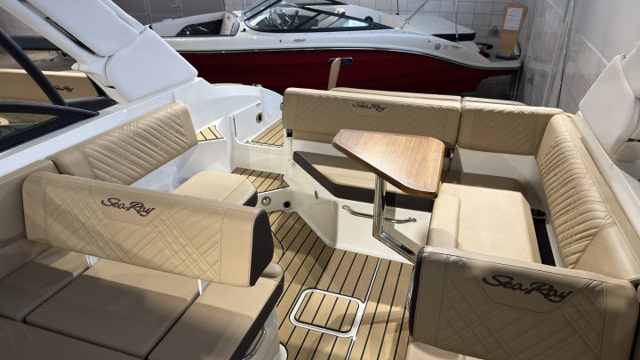Sea Ray SDX 250