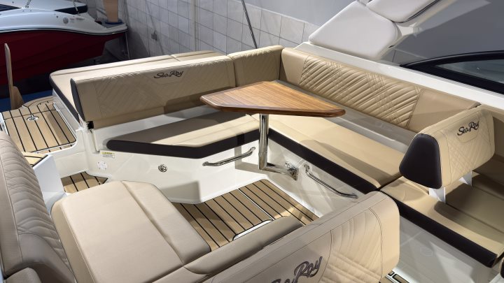 Sea Ray SDX 250