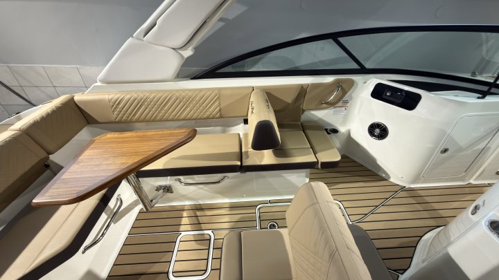 Sea Ray SDX 250