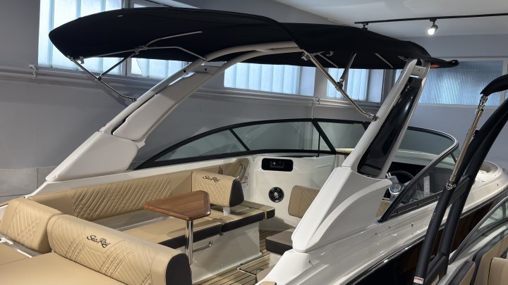 Sea Ray SDX 250