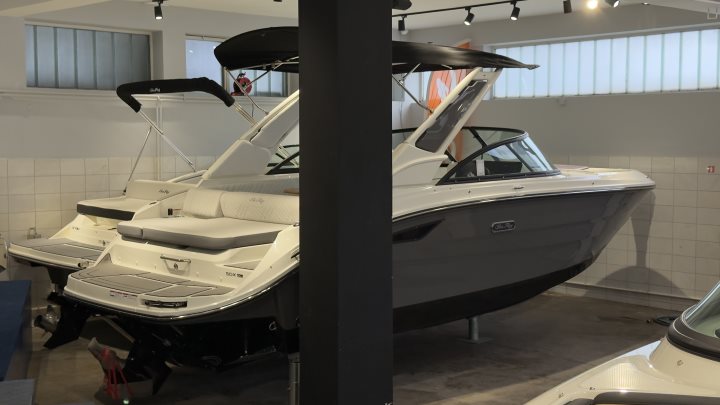Sea Ray SDX 230
