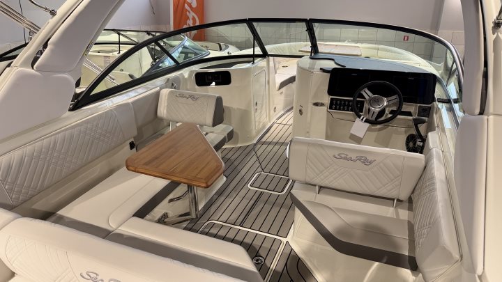 Sea Ray SDX 230