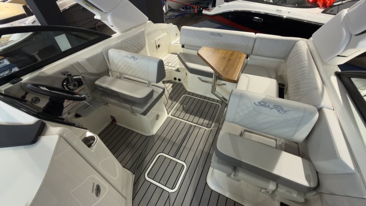 Sea Ray SDX 230