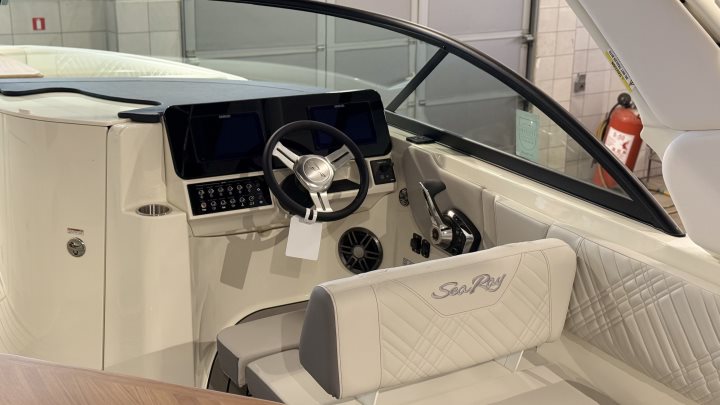 Sea Ray SDX 230