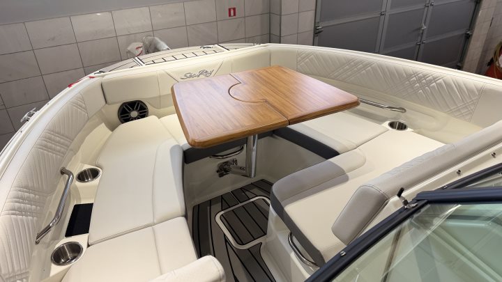 Sea Ray SDX 230