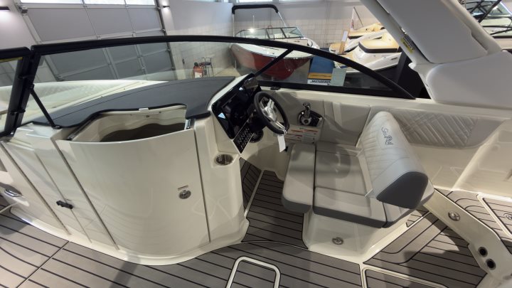 Sea Ray SDX 230