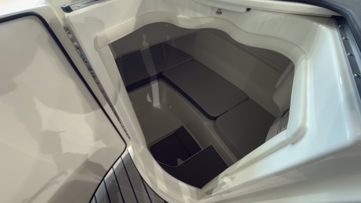 Sea Ray SDX 230