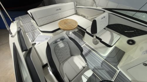 Sea Ray SPX 210 - половен