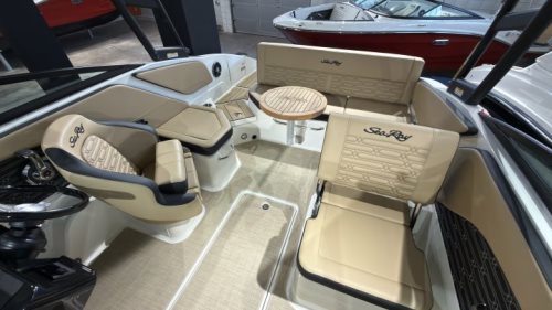 Sea Ray SPX 210 Outboard