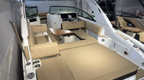 Sea Ray SDX 250