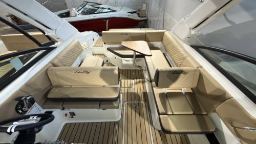 Sea Ray SDX 250