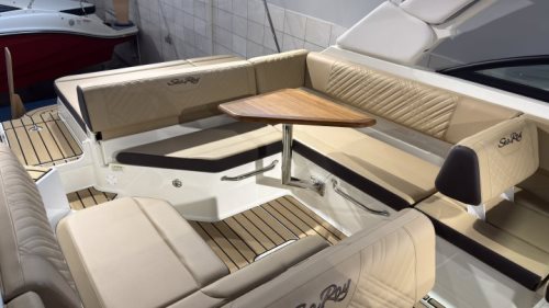 Sea Ray SDX 250
