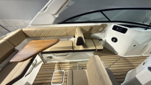 Sea Ray SDX 250