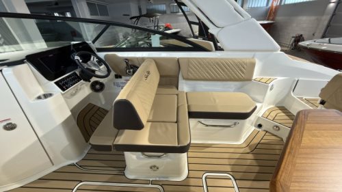 Sea Ray SDX 250