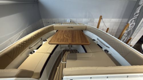 Sea Ray SDX 250