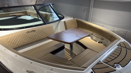 Sea Ray SDX 250