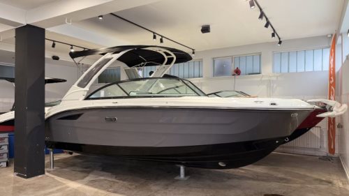 Sea Ray SDX 230