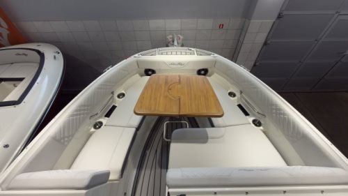 Sea Ray SDX 230