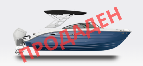 Sea Ray SDX 250 Outboard