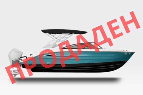 Sea Ray SDX 250 Outboard