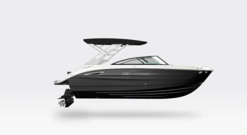Sea Ray SDX 250