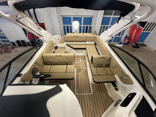 Sea Ray SDX 250 Outboard