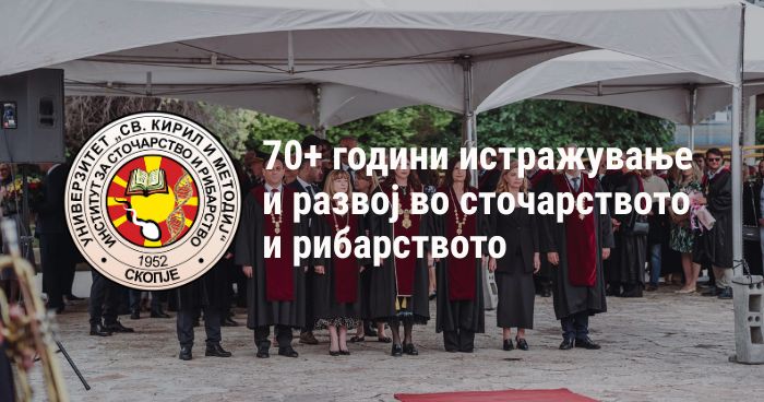 social image