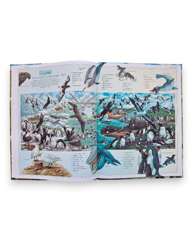 ОКЕАНИ ЕНЦИКЛОПЕДИЈА