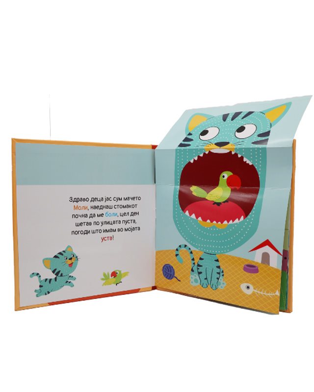 Што имам во устата