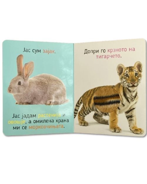 МОИТЕ СЛАТКИ ЖИВОТНИ