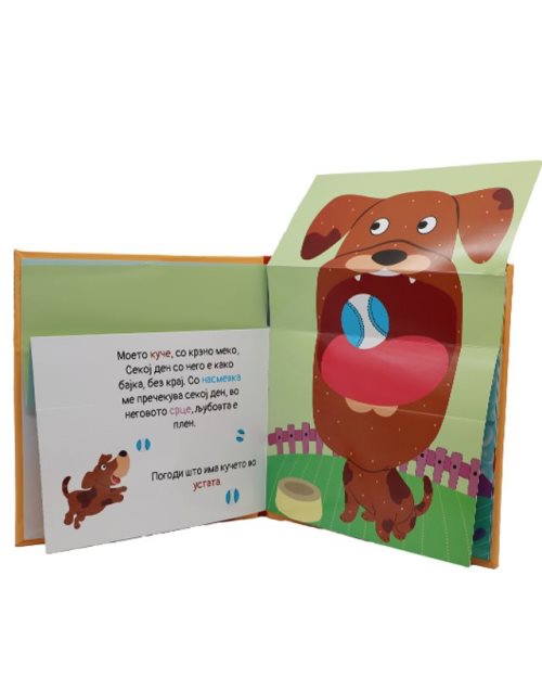 Што имам во устата